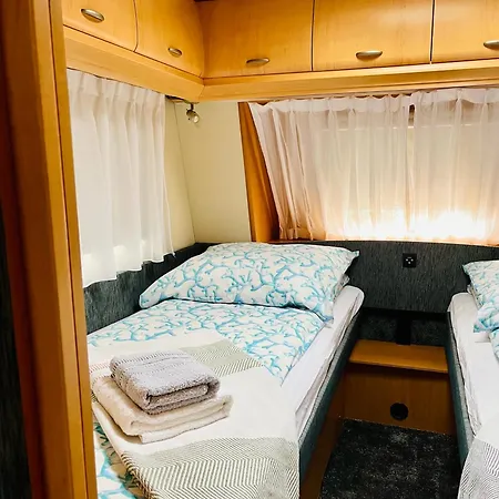 Roza Wiatrow Camp