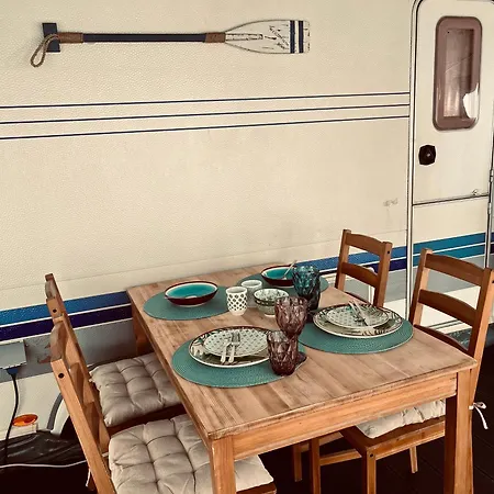 Roza Wiatrow Camp Ястарня