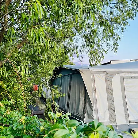 Roza Wiatrow Camp Кемпинг Ястарня