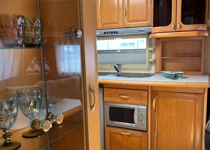 Roza Wiatrow Camp * 亚斯塔尔尼亚