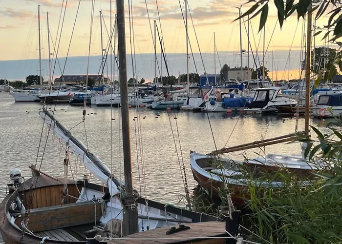 Roza Wiatrow Camp * 亚斯塔尔尼亚